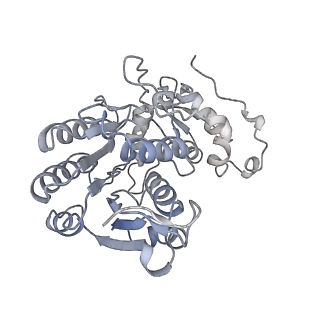 6773_5xtd_J_v1-4
Cryo-EM structure of human respiratory complex I