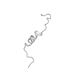 6773_5xtd_K_v1-4
Cryo-EM structure of human respiratory complex I