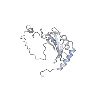 6773_5xtd_P_v1-4
Cryo-EM structure of human respiratory complex I