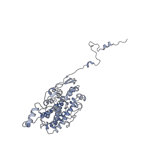 6773_5xtd_Q_v1-4
Cryo-EM structure of human respiratory complex I
