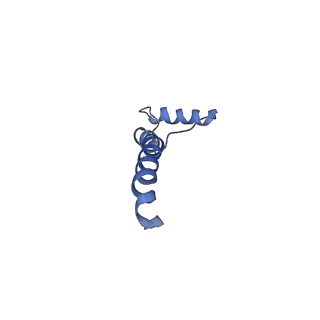 6773_5xtd_S_v1-4
Cryo-EM structure of human respiratory complex I