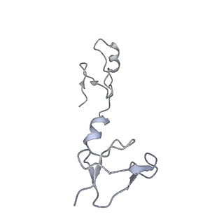 6773_5xtd_T_v1-4
Cryo-EM structure of human respiratory complex I