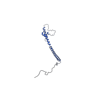 6773_5xtd_W_v1-4
Cryo-EM structure of human respiratory complex I