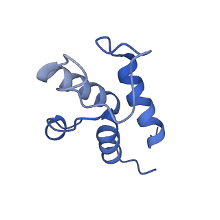 6773_5xtd_X_v1-4
Cryo-EM structure of human respiratory complex I