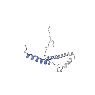 6773_5xtd_b_v1-4
Cryo-EM structure of human respiratory complex I