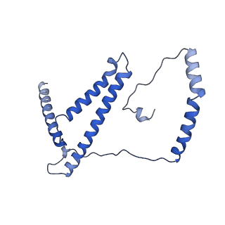 6773_5xtd_d_v1-4
Cryo-EM structure of human respiratory complex I