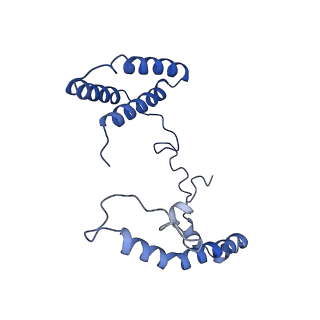 6773_5xtd_p_v1-4
Cryo-EM structure of human respiratory complex I