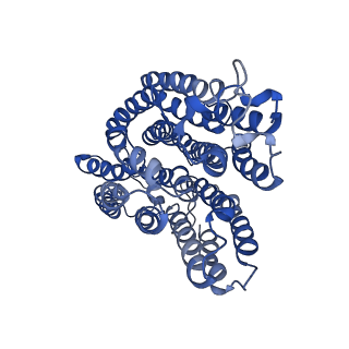 6773_5xtd_r_v1-4
Cryo-EM structure of human respiratory complex I