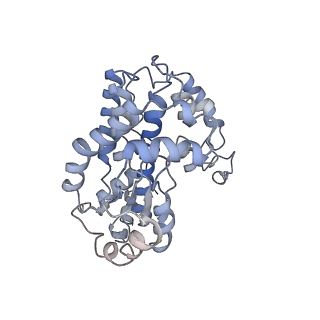 6773_5xtd_w_v1-4
Cryo-EM structure of human respiratory complex I