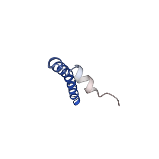 6774_5xte_D_v1-4
Cryo-EM structure of human respiratory complex III (cytochrome bc1 complex)