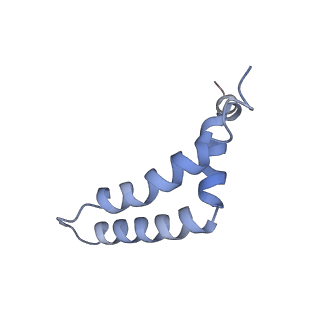6774_5xte_E_v1-4
Cryo-EM structure of human respiratory complex III (cytochrome bc1 complex)