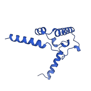6774_5xte_F_v1-4
Cryo-EM structure of human respiratory complex III (cytochrome bc1 complex)