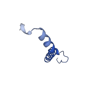 6774_5xte_G_v1-4
Cryo-EM structure of human respiratory complex III (cytochrome bc1 complex)