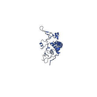 6774_5xte_H_v1-4
Cryo-EM structure of human respiratory complex III (cytochrome bc1 complex)