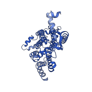6774_5xte_J_v1-4
Cryo-EM structure of human respiratory complex III (cytochrome bc1 complex)
