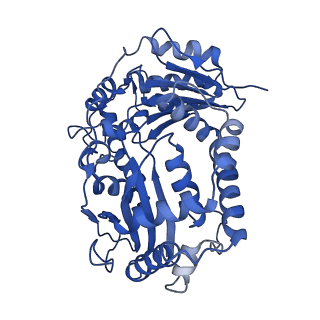 6774_5xte_K_v1-4
Cryo-EM structure of human respiratory complex III (cytochrome bc1 complex)