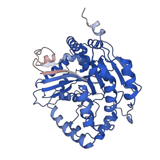 6774_5xte_L_v1-4
Cryo-EM structure of human respiratory complex III (cytochrome bc1 complex)