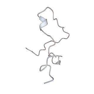 6774_5xte_O_v1-4
Cryo-EM structure of human respiratory complex III (cytochrome bc1 complex)