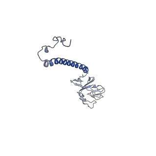 6774_5xte_P_v1-4
Cryo-EM structure of human respiratory complex III (cytochrome bc1 complex)