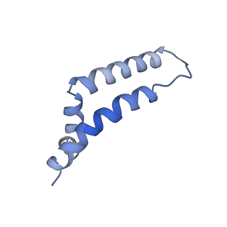 6774_5xte_R_v1-4
Cryo-EM structure of human respiratory complex III (cytochrome bc1 complex)