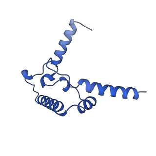 6774_5xte_S_v1-4
Cryo-EM structure of human respiratory complex III (cytochrome bc1 complex)