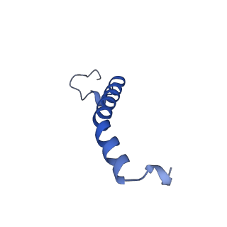 6774_5xte_T_v1-4
Cryo-EM structure of human respiratory complex III (cytochrome bc1 complex)