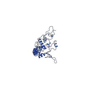 6774_5xte_U_v1-4
Cryo-EM structure of human respiratory complex III (cytochrome bc1 complex)