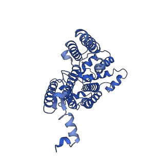 6774_5xte_V_v1-4
Cryo-EM structure of human respiratory complex III (cytochrome bc1 complex)
