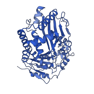 6774_5xte_W_v1-4
Cryo-EM structure of human respiratory complex III (cytochrome bc1 complex)