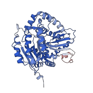 6774_5xte_Y_v1-4
Cryo-EM structure of human respiratory complex III (cytochrome bc1 complex)