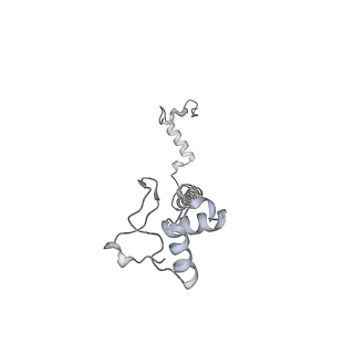 6775_5xth_0_v1-3
Cryo-EM structure of human respiratory supercomplex I1III2IV1