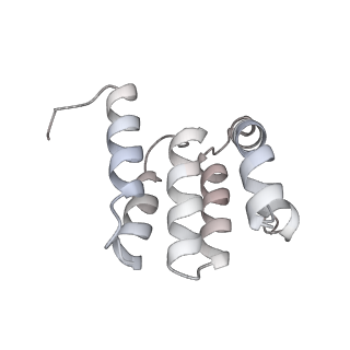 6775_5xth_1_v1-3
Cryo-EM structure of human respiratory supercomplex I1III2IV1