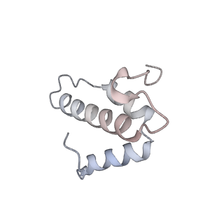 6775_5xth_4_v1-3
Cryo-EM structure of human respiratory supercomplex I1III2IV1