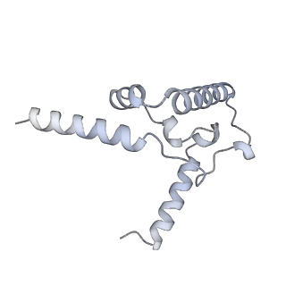 6775_5xth_AF_v1-3
Cryo-EM structure of human respiratory supercomplex I1III2IV1