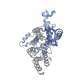 6775_5xth_AJ_v1-3
Cryo-EM structure of human respiratory supercomplex I1III2IV1