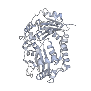 6775_5xth_AK_v1-3
Cryo-EM structure of human respiratory supercomplex I1III2IV1