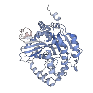 6775_5xth_AL_v1-3
Cryo-EM structure of human respiratory supercomplex I1III2IV1