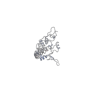6775_5xth_AU_v1-3
Cryo-EM structure of human respiratory supercomplex I1III2IV1