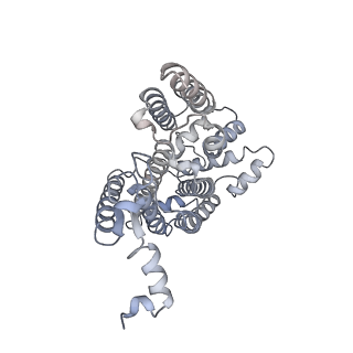 6775_5xth_AV_v1-3
Cryo-EM structure of human respiratory supercomplex I1III2IV1
