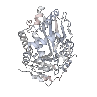 6775_5xth_AW_v1-3
Cryo-EM structure of human respiratory supercomplex I1III2IV1