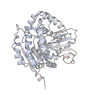 6775_5xth_AY_v1-3
Cryo-EM structure of human respiratory supercomplex I1III2IV1