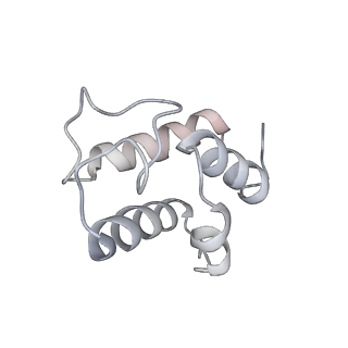 6775_5xth_G_v1-3
Cryo-EM structure of human respiratory supercomplex I1III2IV1