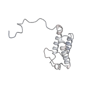 6775_5xth_H_v1-3
Cryo-EM structure of human respiratory supercomplex I1III2IV1