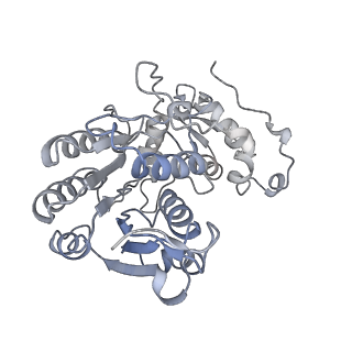 6775_5xth_J_v1-3
Cryo-EM structure of human respiratory supercomplex I1III2IV1