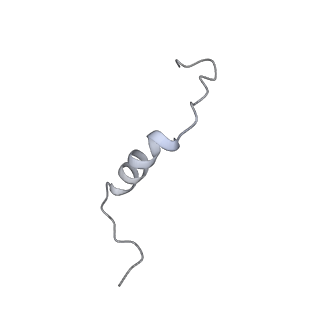 6775_5xth_K_v1-3
Cryo-EM structure of human respiratory supercomplex I1III2IV1