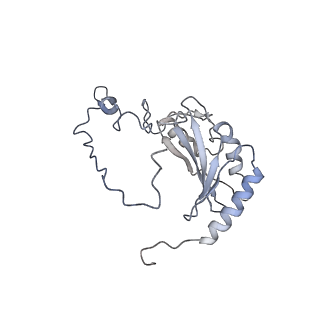 6775_5xth_P_v1-3
Cryo-EM structure of human respiratory supercomplex I1III2IV1