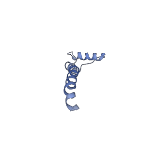 6775_5xth_S_v1-3
Cryo-EM structure of human respiratory supercomplex I1III2IV1