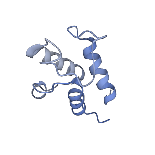 6775_5xth_X_v1-3
Cryo-EM structure of human respiratory supercomplex I1III2IV1