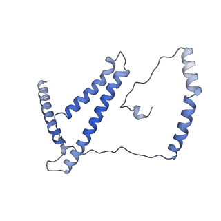 6775_5xth_d_v1-3
Cryo-EM structure of human respiratory supercomplex I1III2IV1