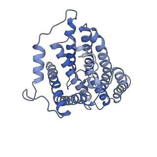 6775_5xth_s_v1-3
Cryo-EM structure of human respiratory supercomplex I1III2IV1